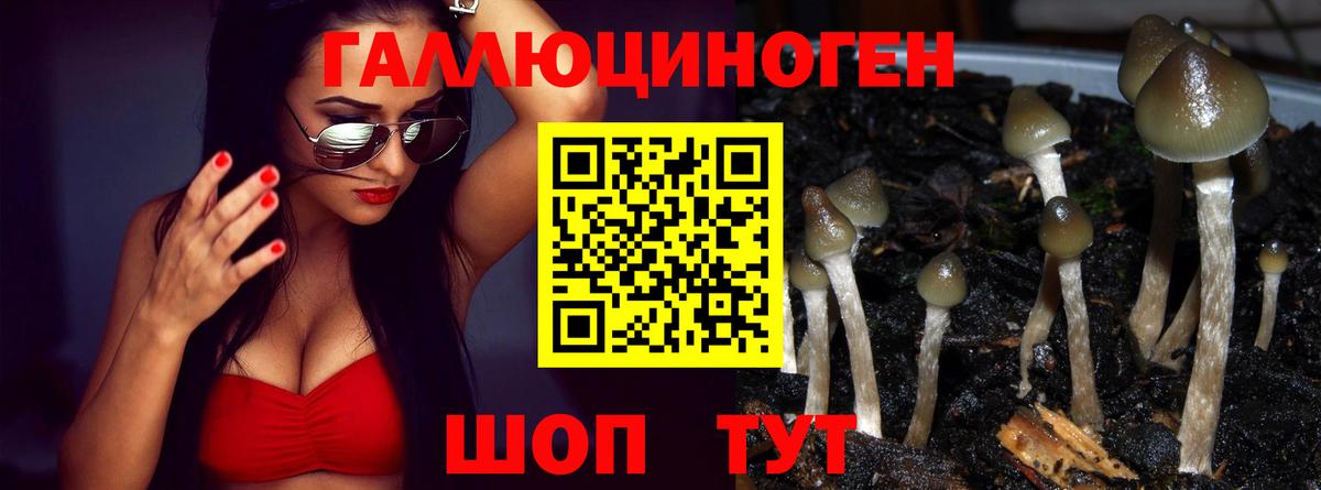 Галлюциногенные грибы мухоморы Октябрьский